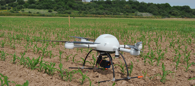 Drones para el agro: cómo es el monitoreo de cultivos desde el aire