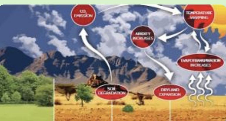 Estado actual del conocimiento sobre el carbono orgánico del suelo