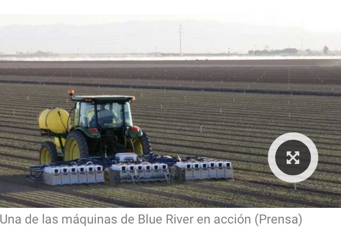 La Inteligencia Artificial, al servicio de la agricultura