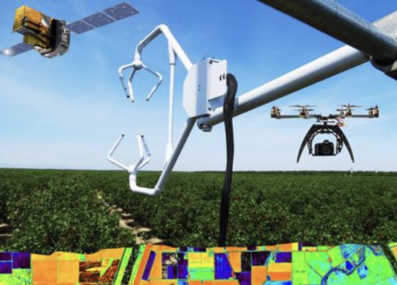 El IRTA organiza una jornada científico-técnica sobre los últimos adelantos en teledetección aplicada en agricultura