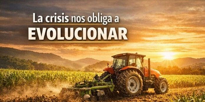 El sector cañero ante una crisis estructural